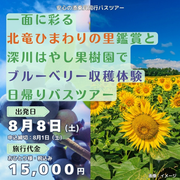 sunflower&berry
