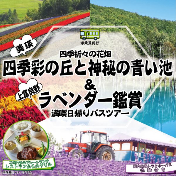 ラベンダー＆青い池