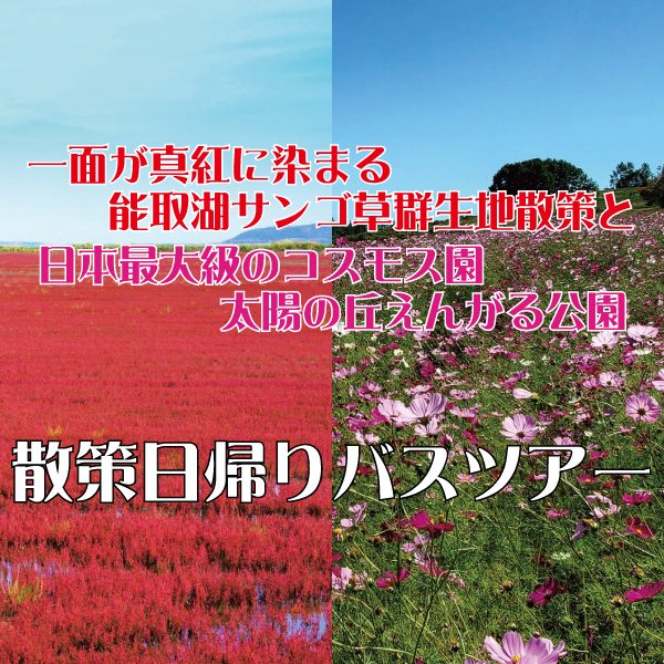 名称未設定-1